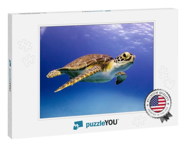 Young Hawksbill Turtle Swimming Along in Nassau, Bahamas... Jigsaw Puzzle