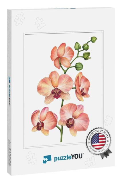 Watercolor Orchid Branch, Hand Drawn Floral Illustration... Jigsaw Puzzle