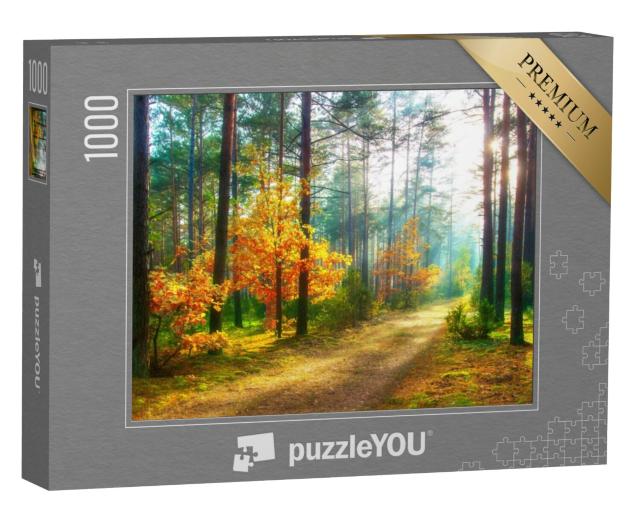 Puzzel 1000 stukjes „Boslandschap in de herfst“