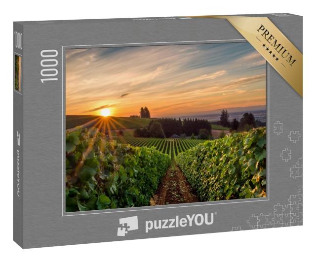 Puzzle 1000 Teile „Wunderschöner Sonnenaufgang über einem Weinberg im Willamette Valley“