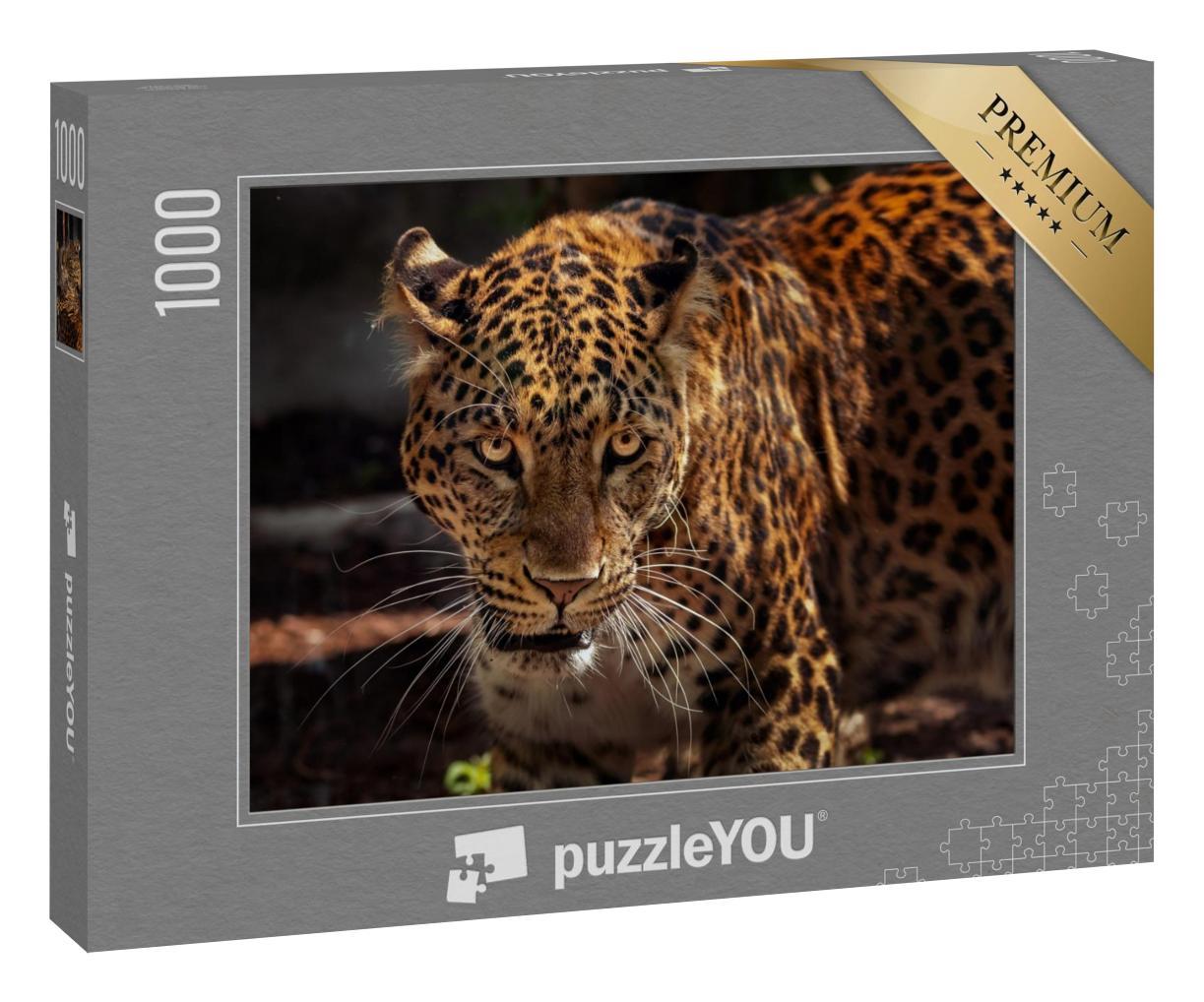 Puzzle 1000 Teile „Attraktives Bild eines starken Jaguars als Jäger“
