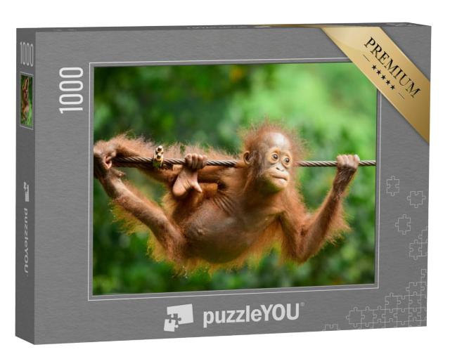 Puzzel 1000 stukjes „Close-up van de Kalimantan orang-oetan“