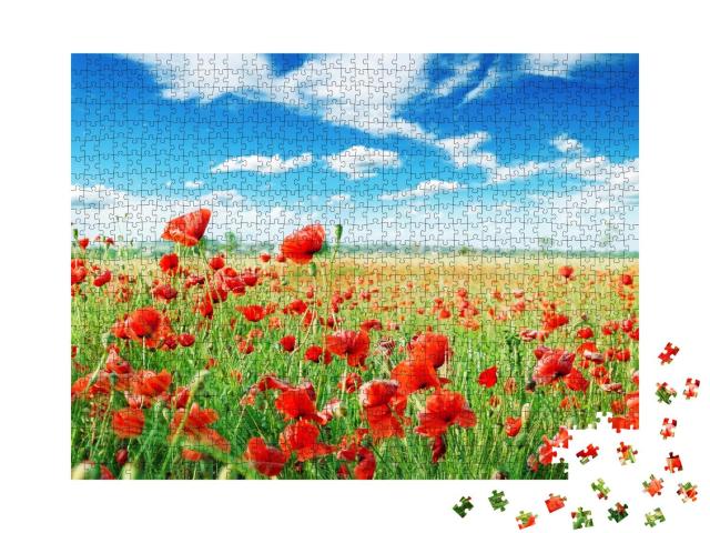 Puzzle 1000 Teile „Mohnblumen auf grüner Wiese“