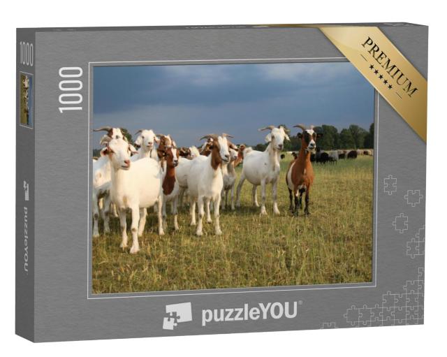 Puzzel 1000 stukjes „Kudde geiten en schaapskudde op de Lüneburger Heide“