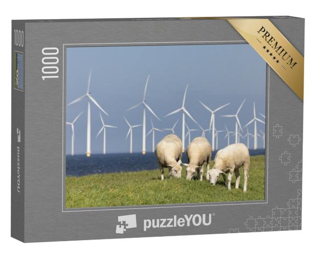 Puzzel 1000 stukjes „Nederlandse dijk aan het IJsselmeer met windmolens en drie grazende schapen“