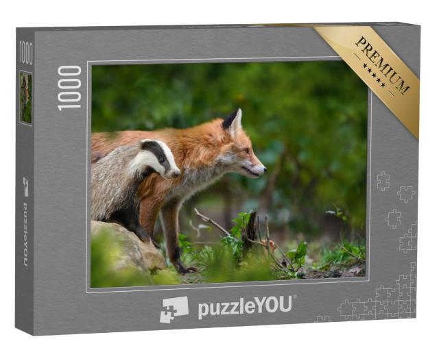 Puzzel 1000 stukjes „Rode vos, Vulpes vulpes, en das“