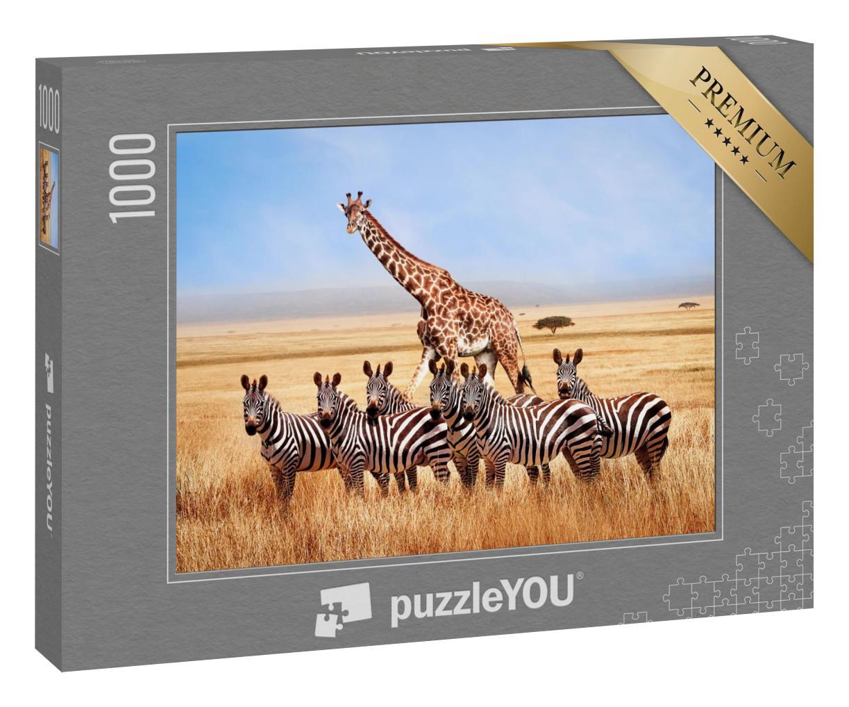 Puzzle 1000 Teile „Gruppe von Zebras und Giraffe in der afrikanischen Savanne, Tansania“