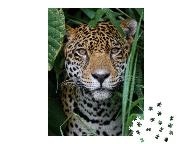 Puzzle 1000 Teile „Jaguar im Amazonas-Dschungel“