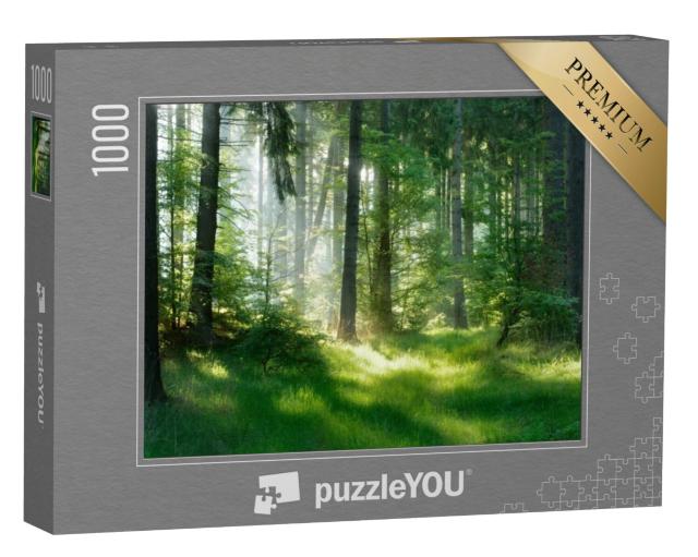 Puzzel 1000 stukjes „Een mystieke sfeer in het sparrenbos“