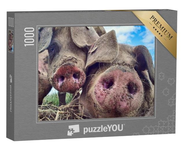 Puzzel 1000 stukjes „Gelukkige varkens“