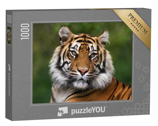 Puzzel 1000 stukjes „Portret van een Bengaalse tijger“