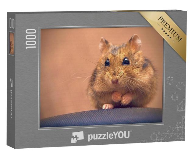 Puzzel 1000 stukjes „Schattige bruine hamster“