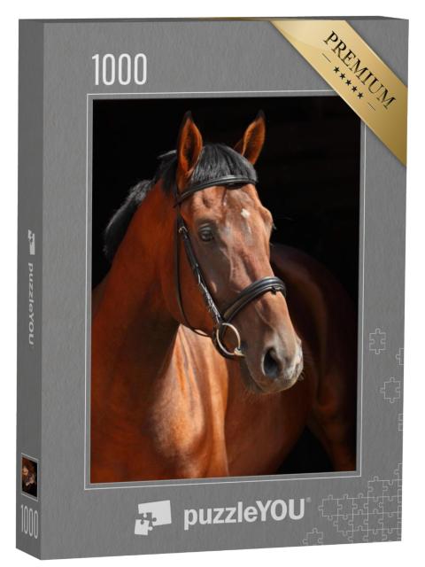 Puzzel 1000 stukjes „Trakehner hengst“