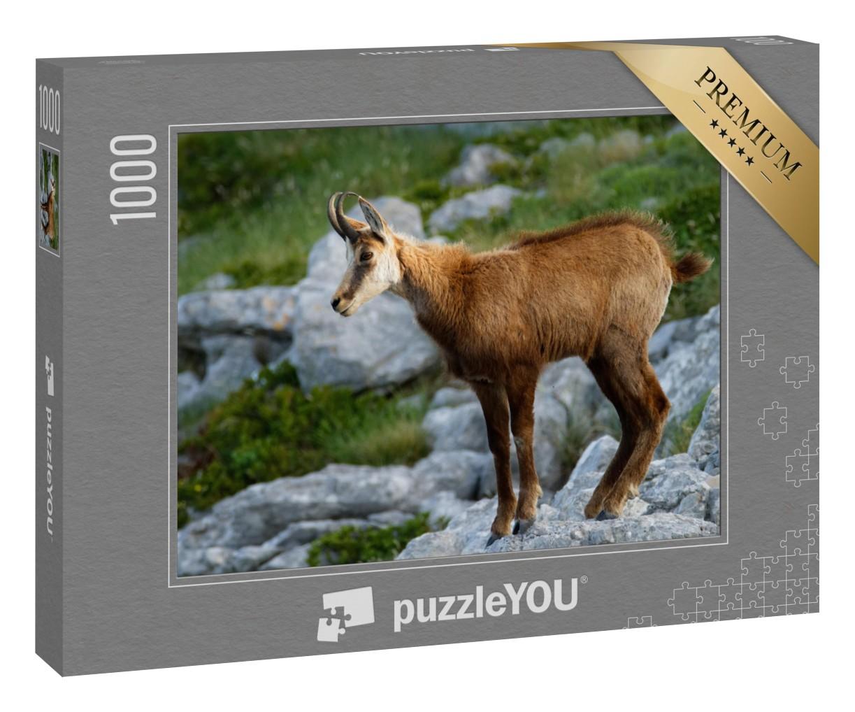 Puzzle 1000 Teile „Gämse im Naturpark Biokovo, Kroatien“