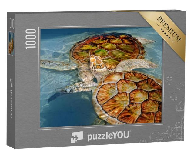 Puzzel 1000 stukjes „Twee waterschildpadden“