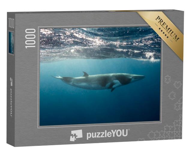 Puzzel 1000 stukjes „Kleine walvis op het Groot Barrièrerif“