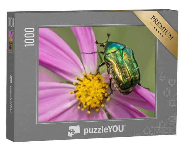 Puzzel 1000 stukjes „Mooie gouden kever op een roze-gele bloem“