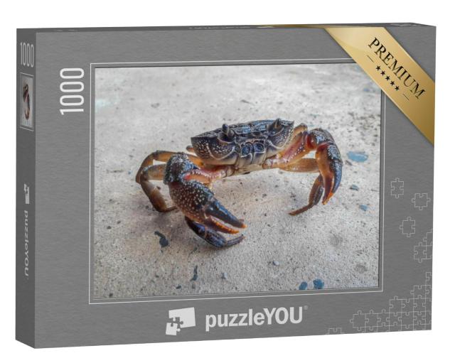 Puzzel 1000 stukjes „De zwarte krab“