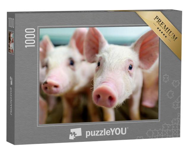 Puzzel 1000 stukjes „Lieve biggetjes“