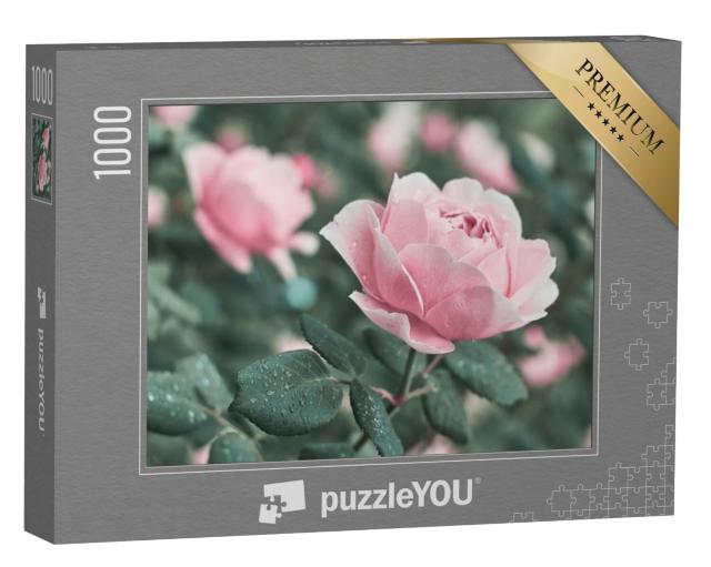 Puzzel 1000 stukjes „Roze rozen in de natuur“