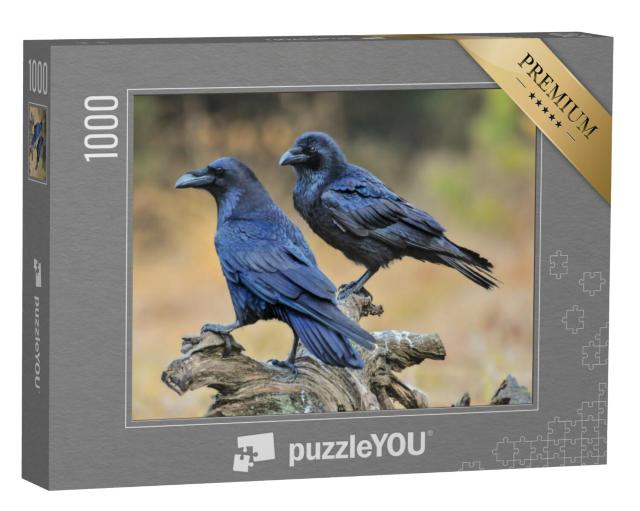 Puzzel 1000 stukjes „Twee raven op een boomstronk“