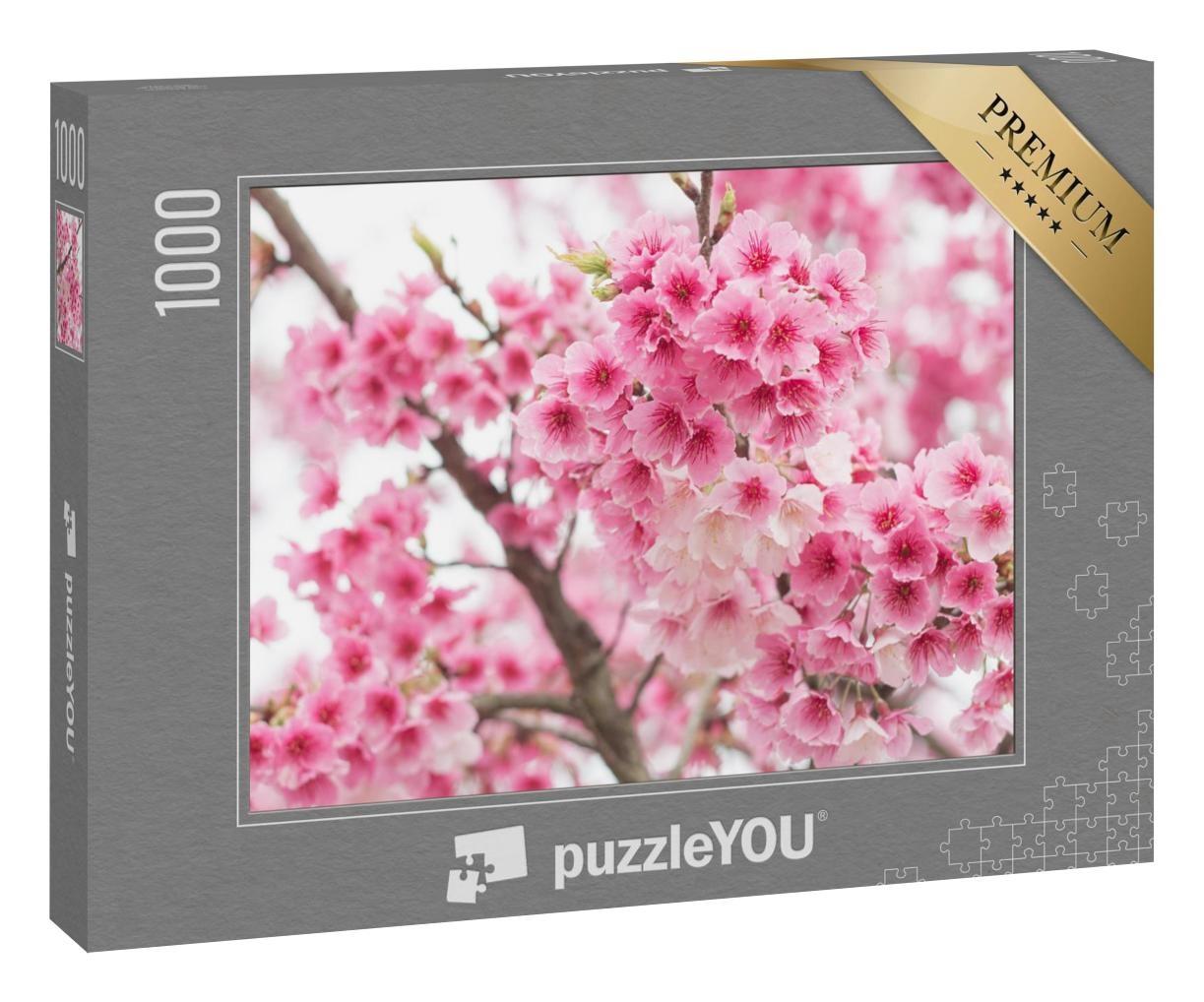 Puzzle 1000 Teile „Wunderschöne blühende Kirschblüten auf dem Berg Yangming, Taiwan“