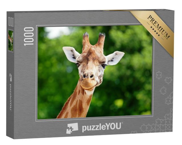 Puzzel 1000 stukjes „Close-up van een giraffe“