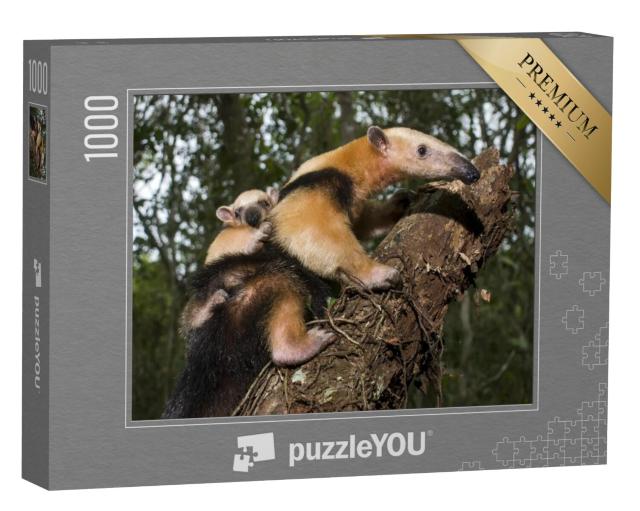 Puzzel 1000 stukjes „Zuidelijke Tamandua, Espírito Santo, Brazilië“