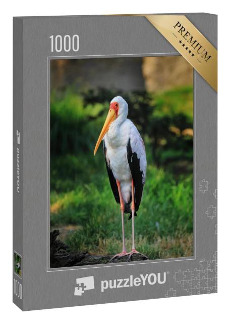 Puzzle 1000 Teile „Afrikanischer Gelbschnabelstorch, Mycteria ibis, stehend auf einem alten Baumstamm“