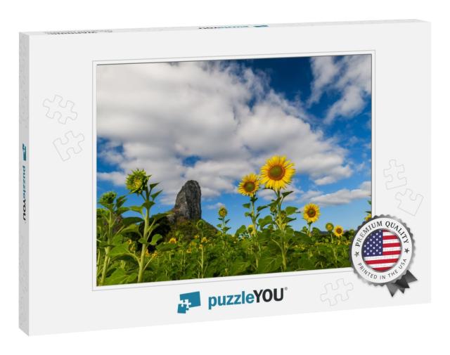 Sunflowers is Blooming in the Sunflower Field with Big Mo... Jigsaw Puzzle