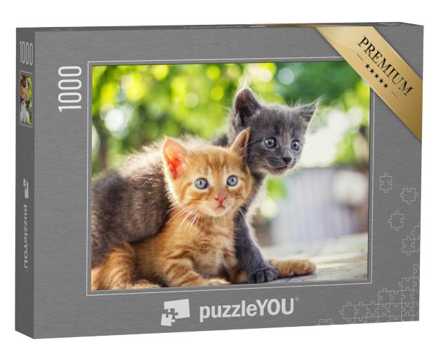 Puzzel 1000 stukjes „Twee schattige kittens spelen“