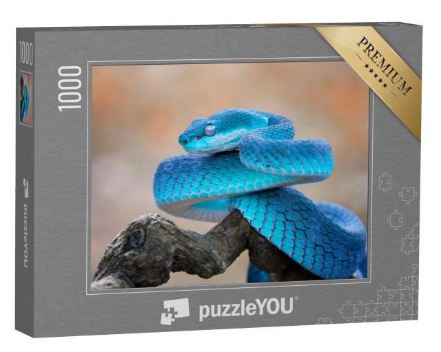 Puzzel 1000 stukjes „Blauwe adder“