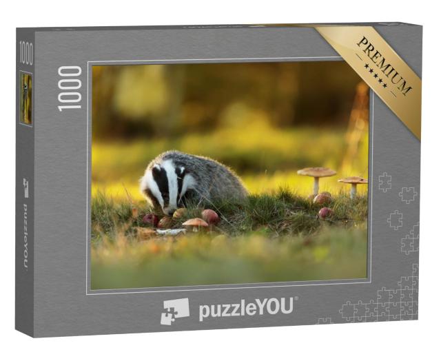 Puzzel 1000 stukjes „Europese das eet appels“