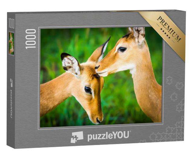 Puzzel 1000 stukjes „Jonge impala antilope“