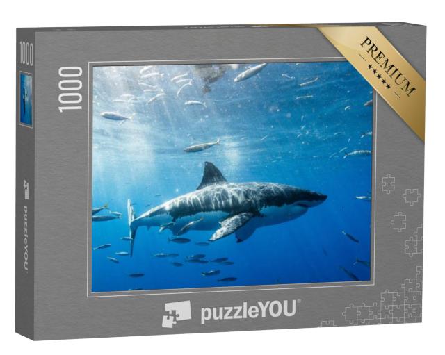 Puzzel 1000 stukjes „Grote witte haai in Mexico“