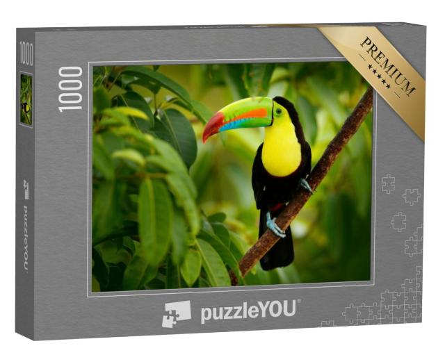 Puzzel 1000 stukjes „Toekan op Costa Rica“