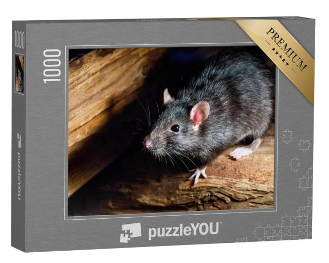 Puzzel 1000 stukjes „De zwarte rat, ook bekend als de scheepsrat of huisrat“