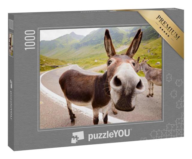 Puzzle 1000 Teile „Lustiger Esel in den rumänischen Bergen“