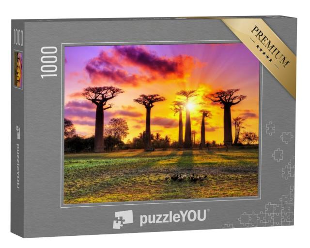 Puzzel 1000 stukjes „Baobabbomen bij zonsondergang in Madagaskar“