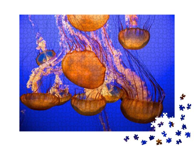 Puzzle 1000 Teile „Viele Quallen vor einem blauen Meereshintergrund, kopfüber“