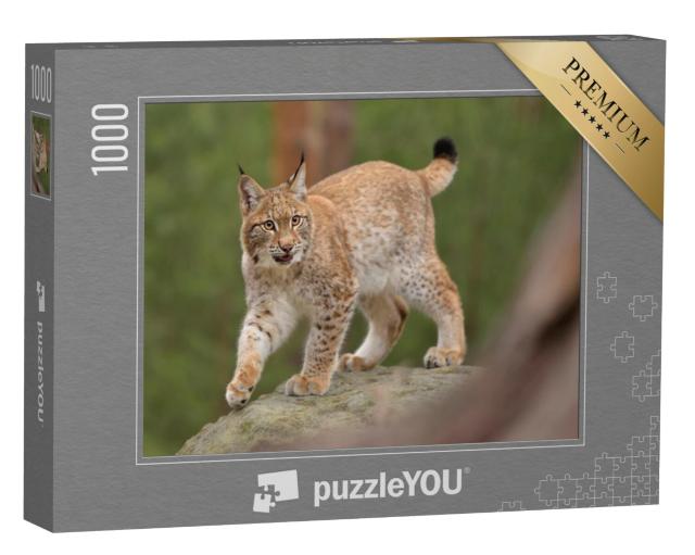 Puzzel 1000 stukjes „Euraziatische lynx in zijn natuurlijke omgeving, Tsjechië“