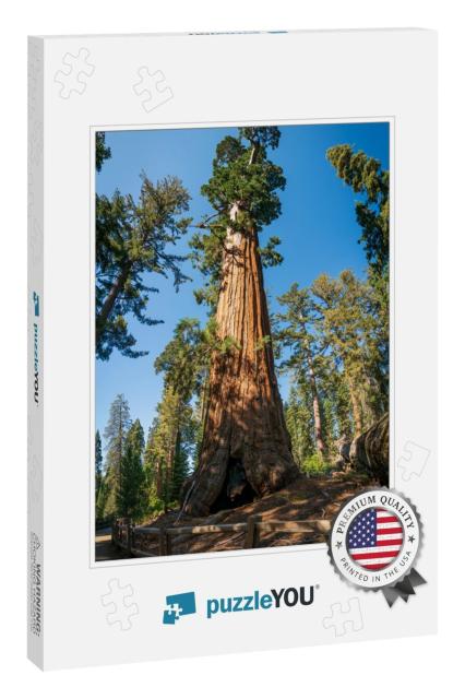 General Grant At Kings Canyon National Park, in Californi... Jigsaw Puzzle