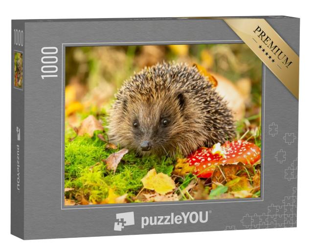 Puzzel 1000 stukjes „Egel en paddenstoel“