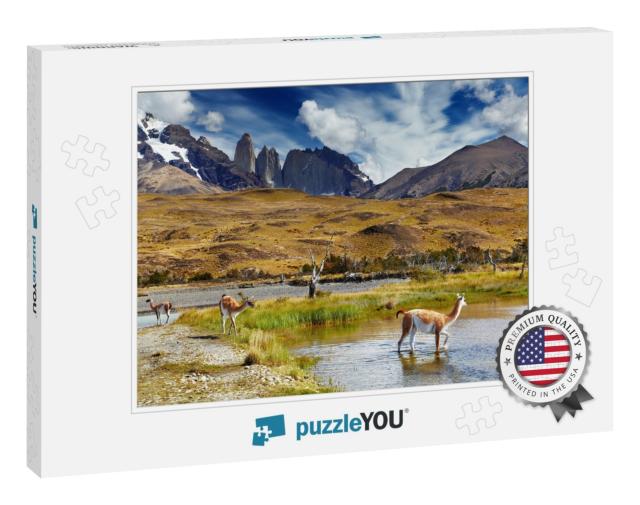 Guanaco in Torres Del Paine National Park, Patagonia, Chi... Jigsaw Puzzle