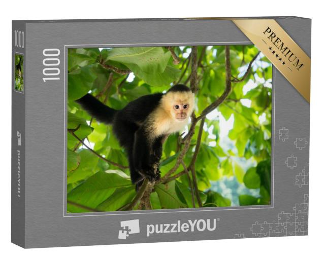 Puzzel 1000 stukjes „Witkopkapucijnaap, Manuel Antonio, Costa Ricaans regenwoud“