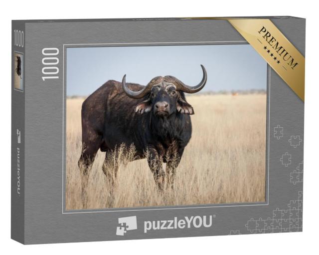 Puzzel 1000 stukjes „Een grote oude Kaapse buffelstier op een grasvlakte“