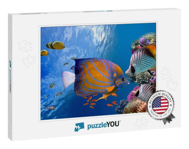 Wonderful & Beautiful Underwater World with Corals & Trop... Jigsaw Puzzle