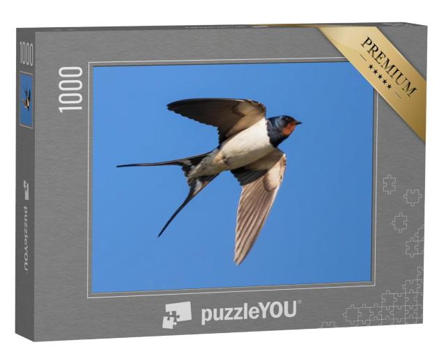 Puzzel 1000 stukjes „Portret van een vliegende boerenzwaluw“