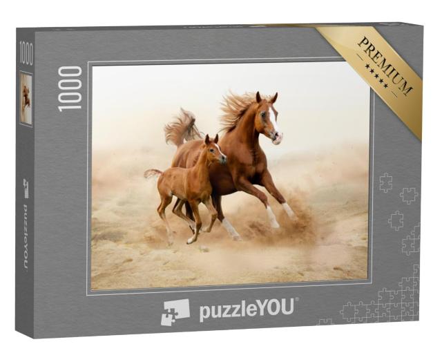 Puzzel 1000 stukjes „Arabisch raspaard“