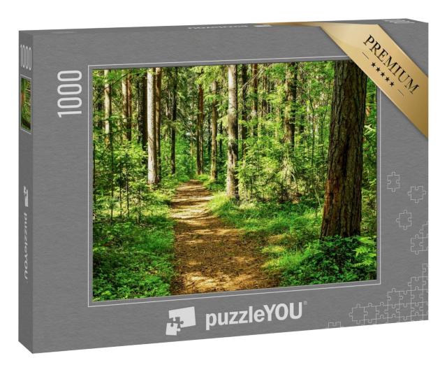 Puzzle 1000 Teile „Landschaftsszene im Wald: idyllischer Waldweg“